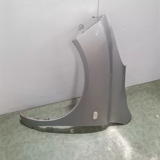 Parafango anteriore sinistro