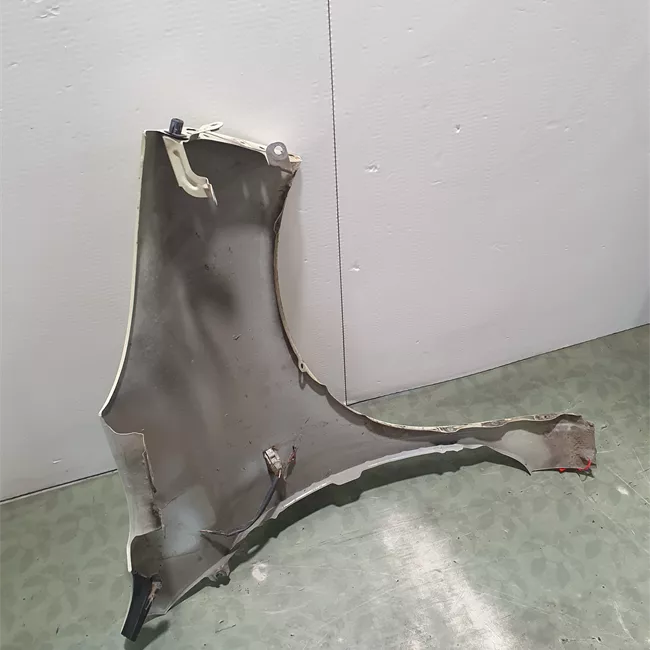 Parafango anteriore sinistro