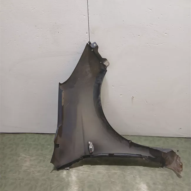 Parafango anteriore sinistro