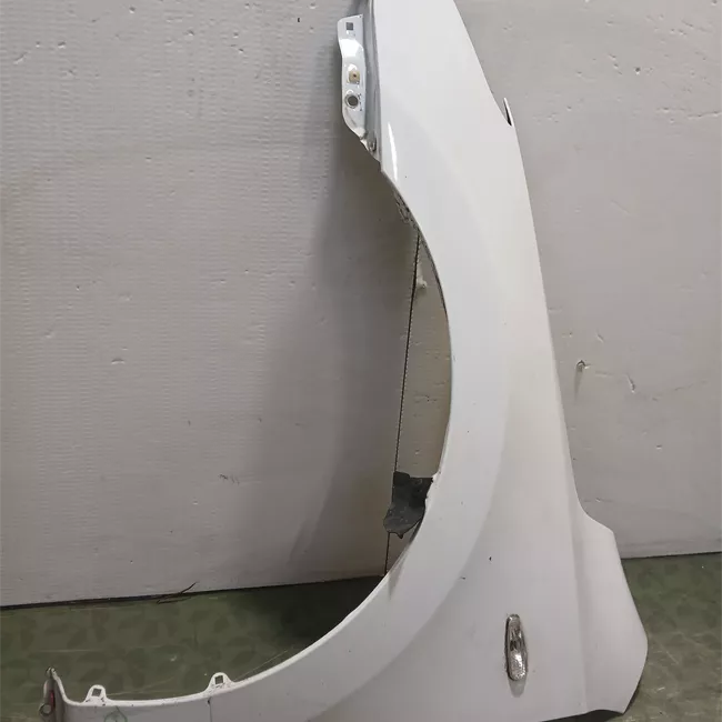 Parafango anteriore sinistro