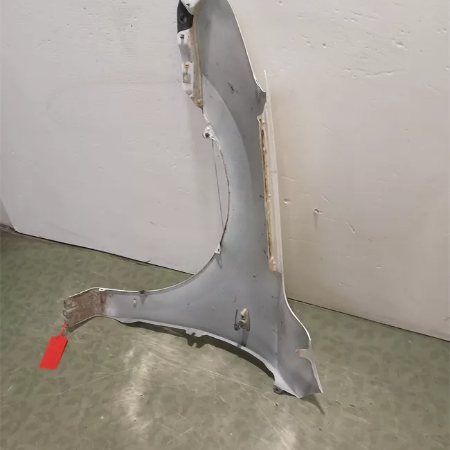 Parafango anteriore destro