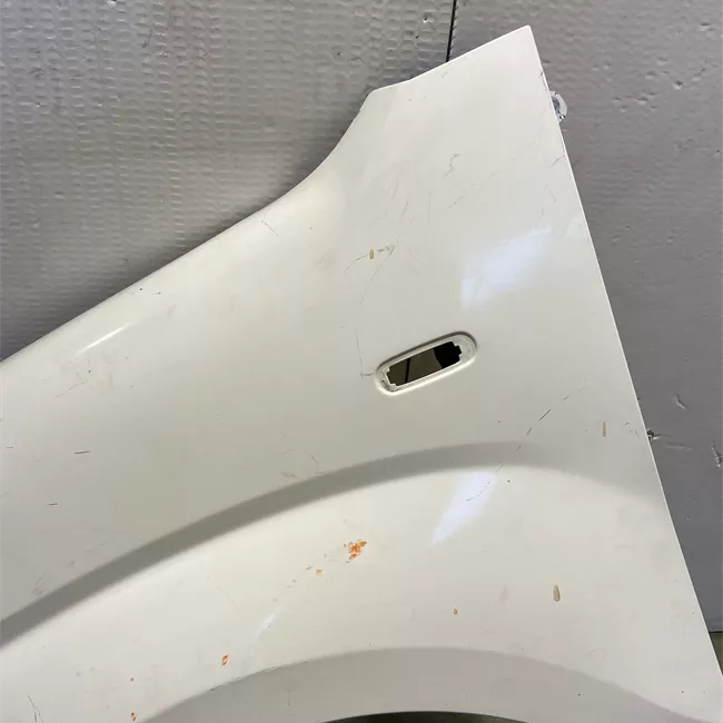 Parafango anteriore sinistro