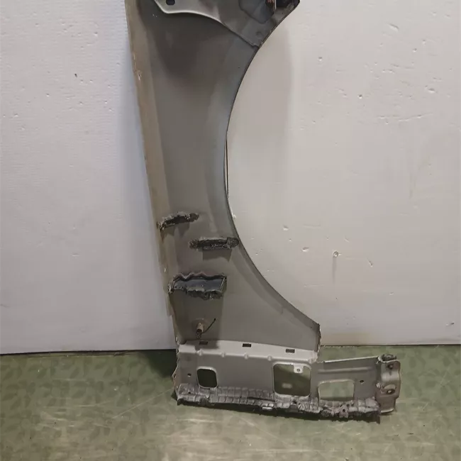 Parafango anteriore sinistro