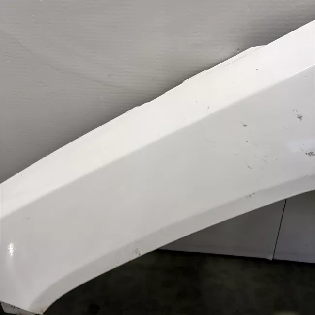 Parafango anteriore sinistro