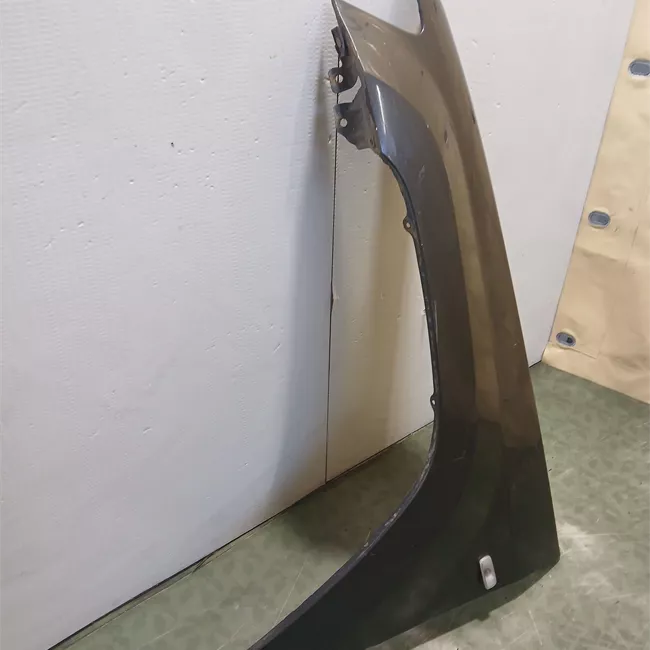 Parafango anteriore sinistro