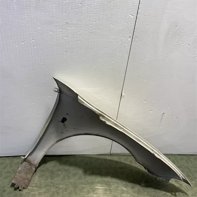 Parafango anteriore sinistro