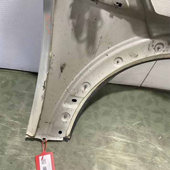 Parafango anteriore sinistro