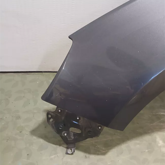 Parafango anteriore sinistro