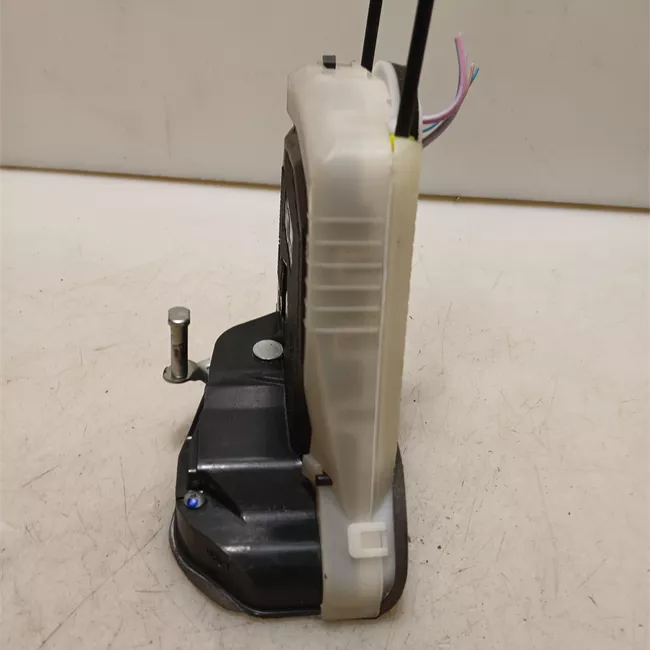 Serratura porta posteriore sinistra