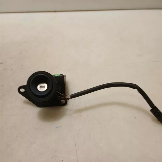 Serratura portello posteriore