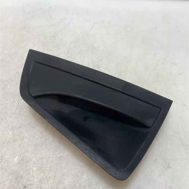 Maniglia porta posteriore sinistra