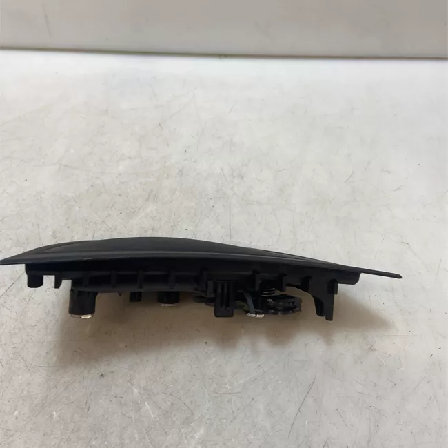 Maniglia porta posteriore sinistra