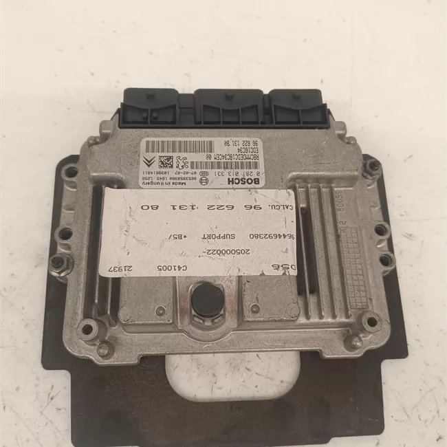 Centralina iniezione