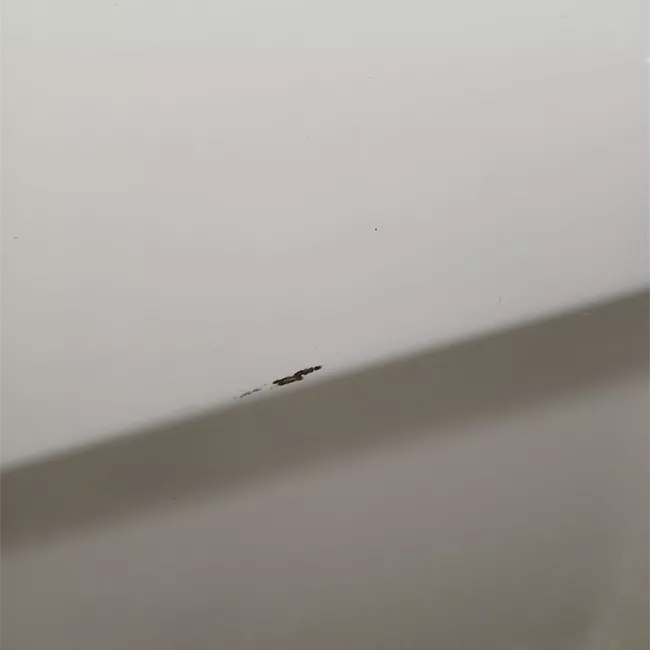 Porta anteriore sinistra