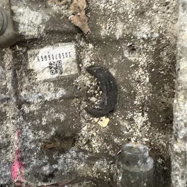 Gruppo ibrido trasmissione (cambio con motori elettrico )