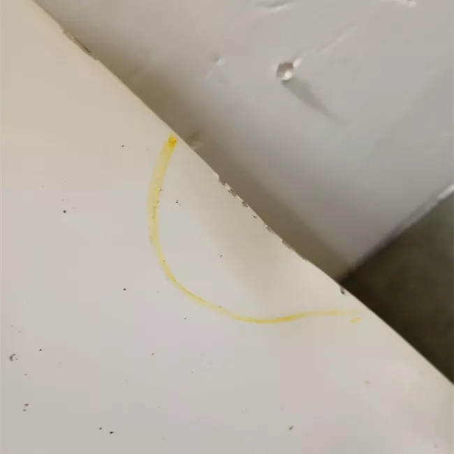 Porta anteriore destra