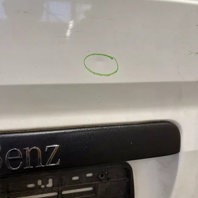 Porta carico posteriore a battente sinistra apertura 180° lamierata