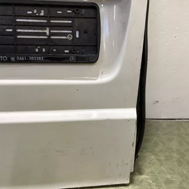 Porta carico posteriore a battente sinistra apertura 180° lamierata