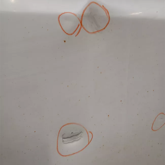 Porta carico posteriore a battente sinistra