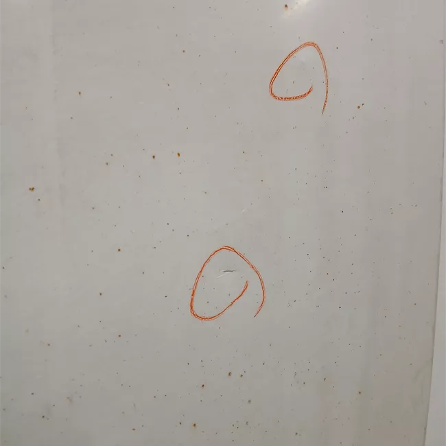 Porta carico posteriore a battente sinistra