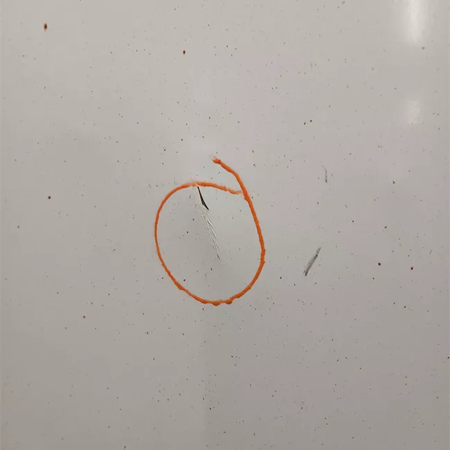 Porta carico posteriore a battente destra Lamierata