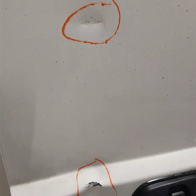 Porta carico posteriore a battente destra Lamierata