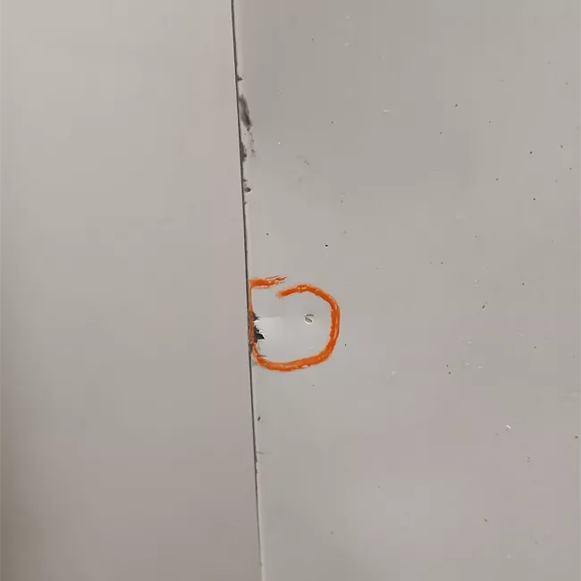 Porta carico posteriore a battente destra Lamierata