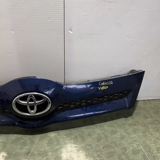 Griglia paraurti anteriore 05-07<