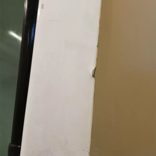 Porta anteriore sinistra