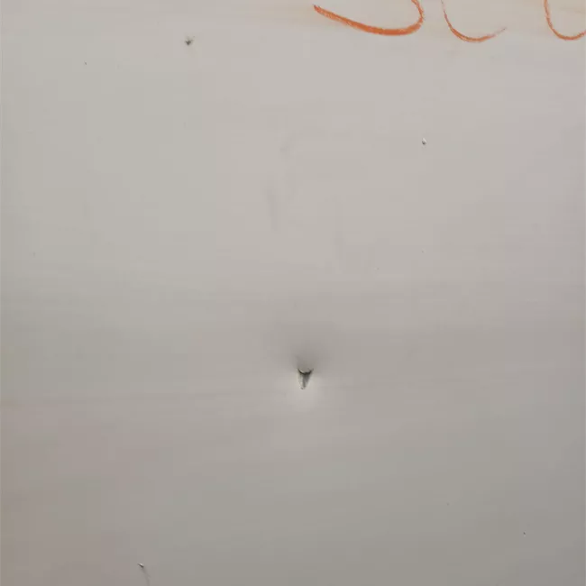 Porta posteriore destra