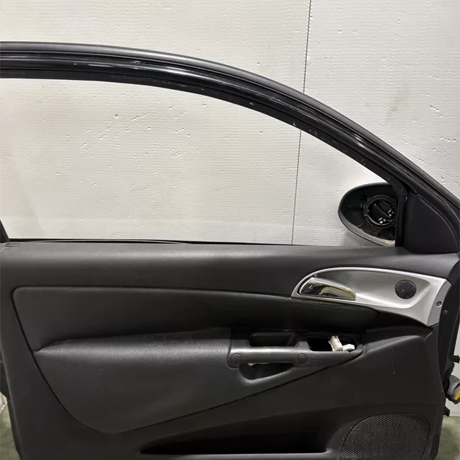 Porta anteriore sinistra