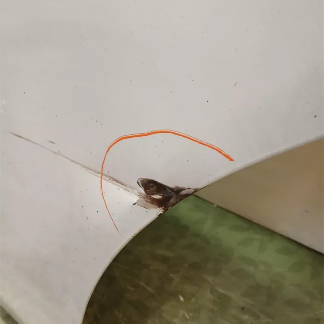 Porta anteriore destra