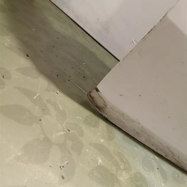 Porta anteriore destra