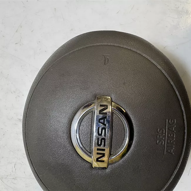 Dispositivo airbag lato guida