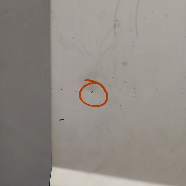 Porta carico posteriore a battente destra apertura 180 o 270 gradi