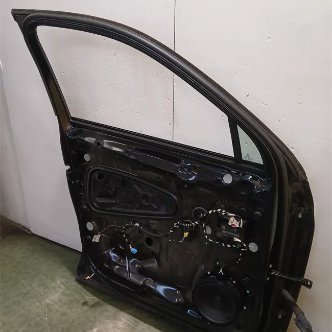 Porta anteriore sinistra