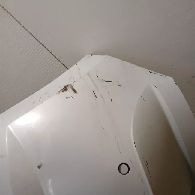 Paraurti posteriore primer