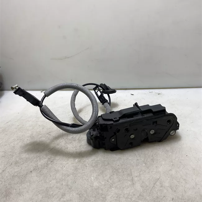 Serratura porta posteriore sinistra