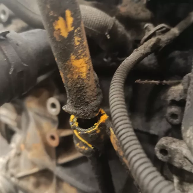 Motore semicompleto rotazionale