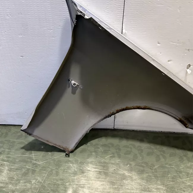 Parafango anteriore sinistro