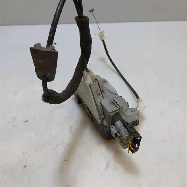 Serratura porta posteriore sinistra