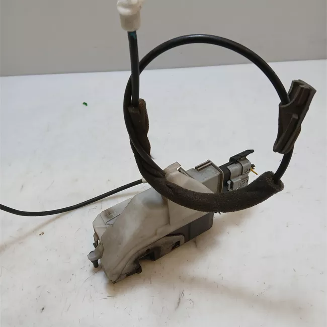 Serratura porta posteriore sinistra