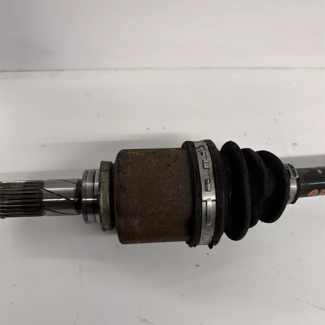 Semialbero anteriore completo destro