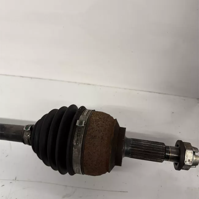 Semialbero anteriore completo destro