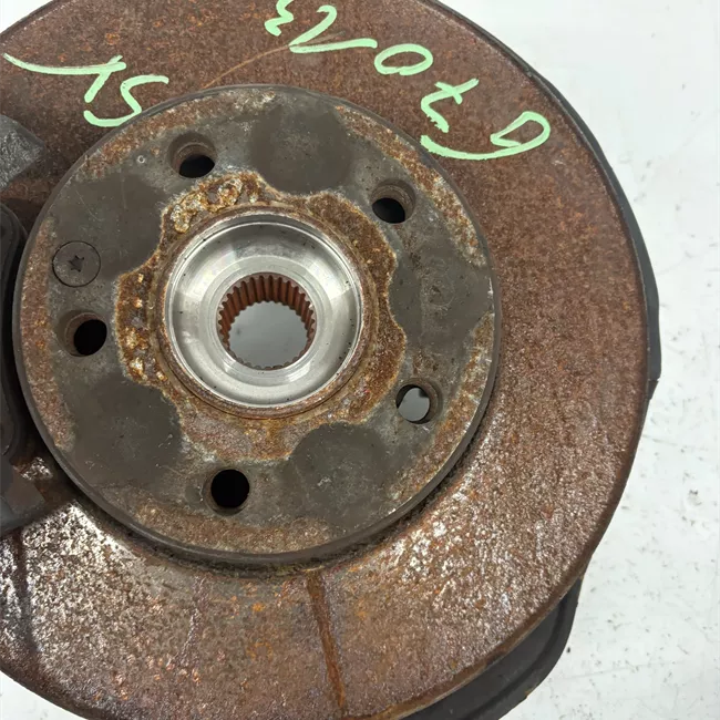 Montante sospensione anteriore sinistro con protezione disco/mozzo/cuscinetto