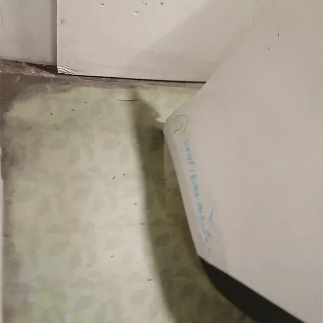 Paraurti posteriore primer