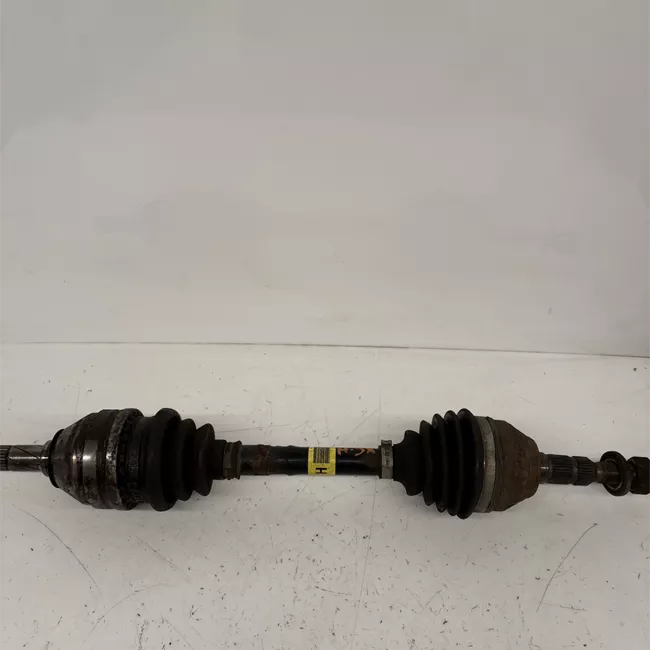 Semialbero anteriore completo sinistro