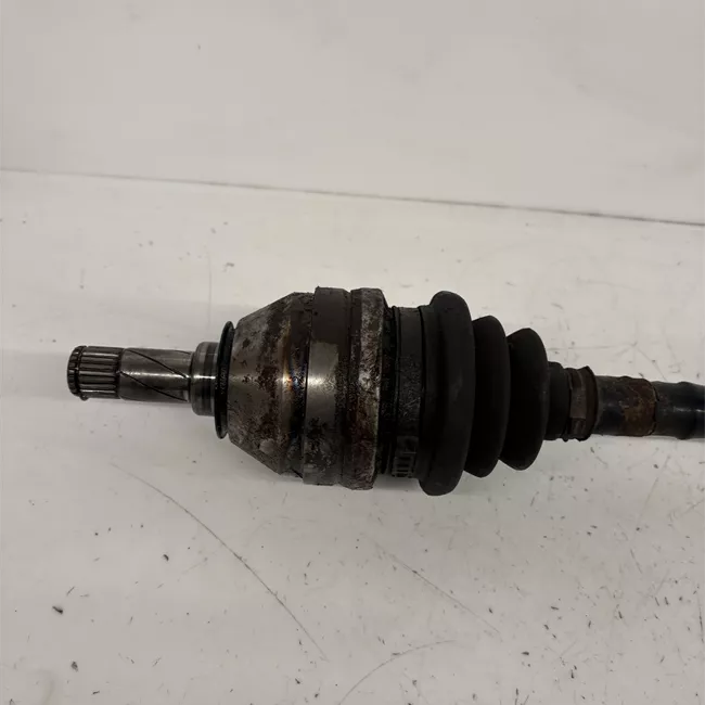 Semialbero anteriore completo sinistro