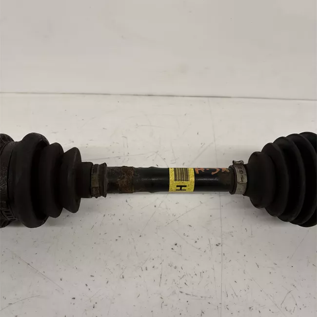 Semialbero anteriore completo sinistro