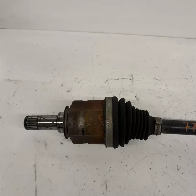 Semialbero anteriore completo sinistro